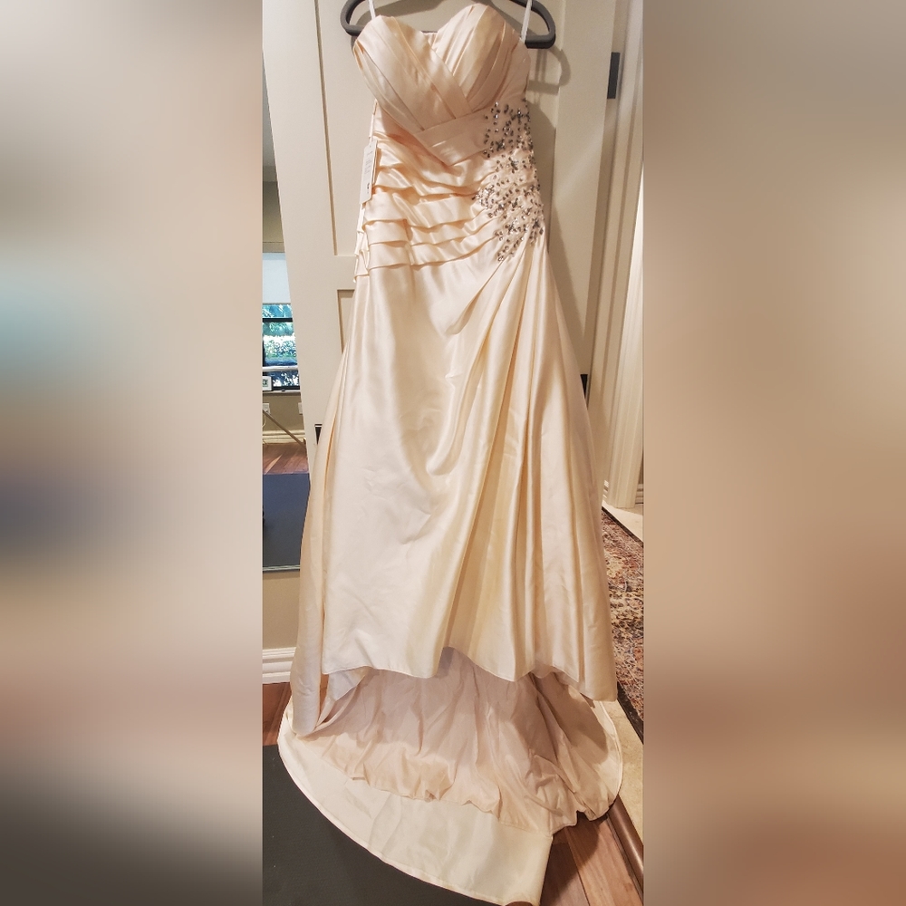 NWT Women's Wedding Dress